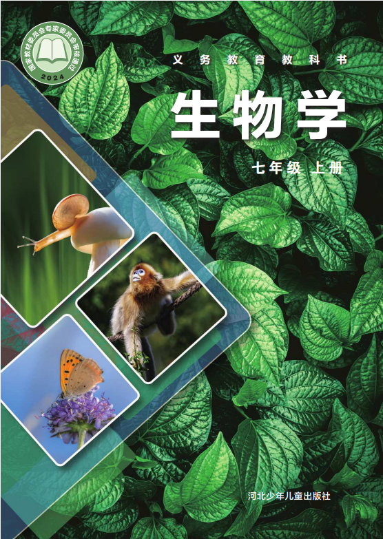 5e1b18f87851c07a0545ae3eb02d2ee3.png image.png